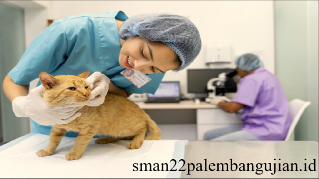 Mengenal Lebih Dekat Program Studi Kedokteran Hewan